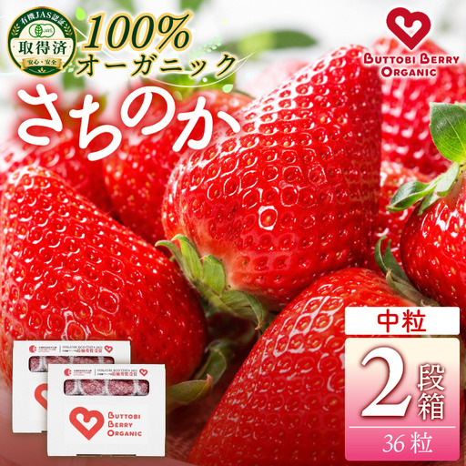 オーガニック いちご 中粒 約36粒 《1月末から5月発送》 有機JAS認証 ORGANIC 甘い 苺 果物 フルーツ 産地直送 新鮮 ストロベリー ジャム スムージー 期間限定 徳島
