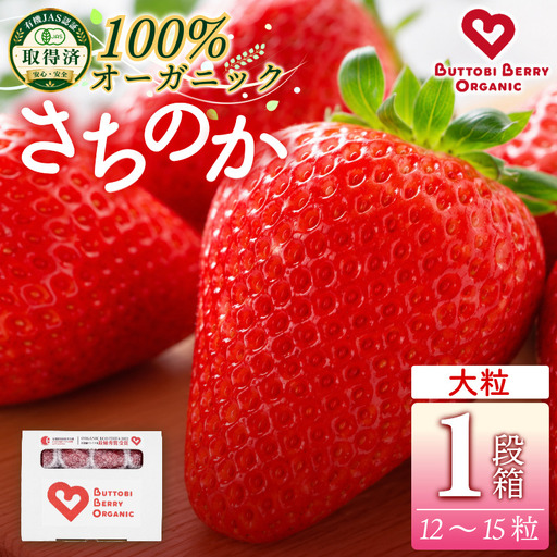 オーガニック いちご 大粒 約12～15粒 《1月末から5月発送》 有機JAS認証 ORGANIC 甘い 苺 果物 フルーツ 産地直送 新鮮 ストロベリー ジャム スムージー 期間限定 徳島