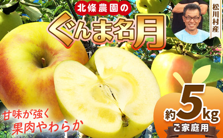 家庭用 ぐんま名月 約5kg 【2026年先行予約】 | 北條農園
