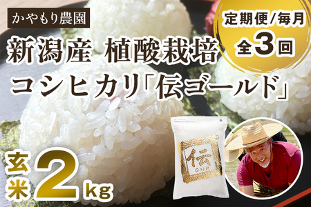 最短3日発送【定期便3回毎月お届け】【令和6年産米】新潟産コシヒカリ「伝ゴールド」真空パック 玄米2kgかやもり農園