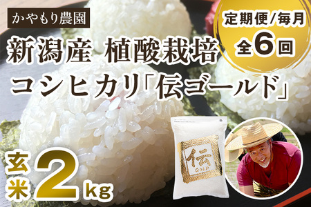 【定期便6ヶ月毎月お届け】新潟産コシヒカリ「伝ゴールド」真空パック 玄米2kg 南麻布の高級料亭で提供される極上米 かやもり農園