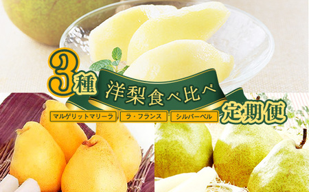 [先行予約]令和8年産 3回定期便 「洋梨食べ比べ 3種(追熟ラ・フランス マルゲリット・マリーラ シルバーベル)」山形県産 [2026年9月中旬頃から発送開始予定]