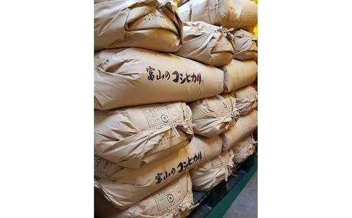 【令和8年産】みどりふぁーむの天然海藻肥料栽培コシヒカリ玄米30kg