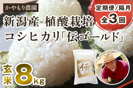 【定期便3回隔月お届け】新潟産コシヒカリ「伝ゴールド」真空パック 玄米8kg（2kg×4） 南麻布の高級料亭で提供される極上米 かやもり農園