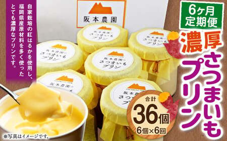 【 6ヶ月 定期便 】 濃厚 さつまいもプリン 6個入り 6個×6回 計36個 ／  スイーツ おやつ デザート 洋菓子 プリン さつまいも 冷凍