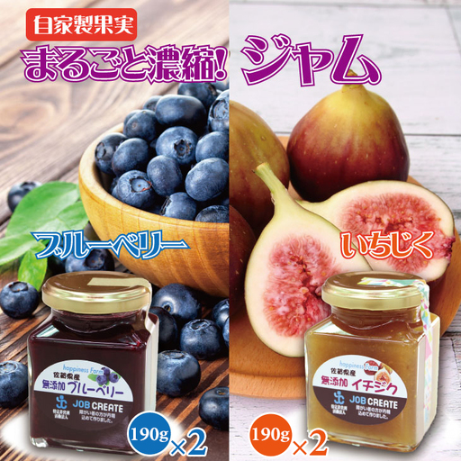 まるごと濃縮!いちじく & ブルーベリー ジャム セット (190g×各2個) ジョブクリエイト ジャム