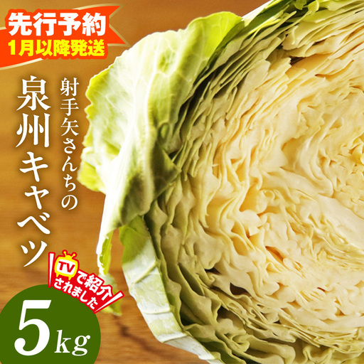 【先行予約】射手矢さんちの泉州キャベツ 5kg