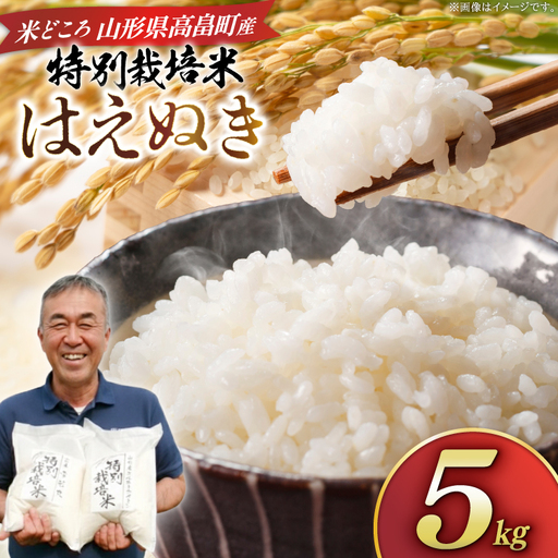 米 令和8年度産 はえぬき 5kg