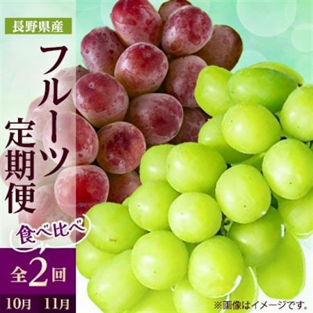 【発送月固定定期便】2026年発送 長野の果物 シャインマスカット+クイーンルージュ全2回【配送不可地域：離島】【4063521】