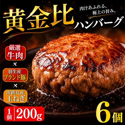 ハンバーグ 200g×6個 1.2kg ギフト お歳暮 大判ハンバーグ
