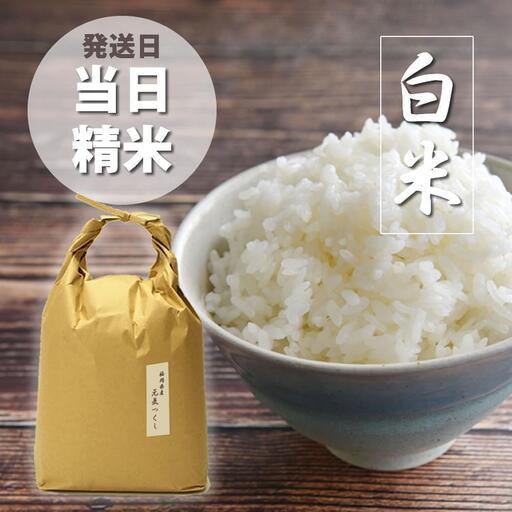 令和7年産 福岡県産【特A】評価のお米「元気つくし」5kg×1袋 5kg [白米]