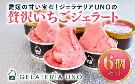 愛媛産贅沢いちごジェラート6個セット | 鬼北町 あかまつ農園 レッドパール いちご 人気 ジェラート ジェラテリアUNO 手作り 高糖度 スイーツ ギフト
