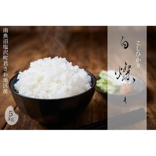 [令和8年産新米予約]南魚沼君沢産こしひかり 白燦々5kg[玄米](従来品種)[銘柄米 ブランド米 玄米 こしひかり コシヒカリ 魚沼 新潟米 産地直送 お こめ コメ ご飯 御飯 ごはん][2026年10月初旬より1ヵ月以内に順次発送予定]