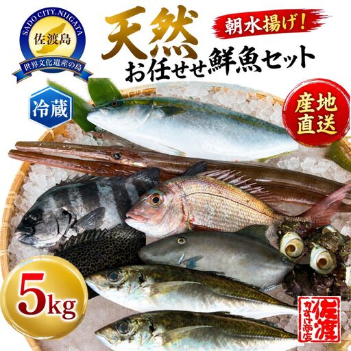 魚 詰め合わせ 5kg | 新潟県 佐渡市 鮮魚