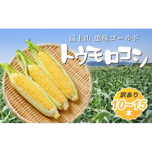 [2026年収穫分先行予約][訳あり]富士山 恵味ゴールド|トウモロコシ10〜15本