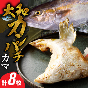 大和カンパチのカマ