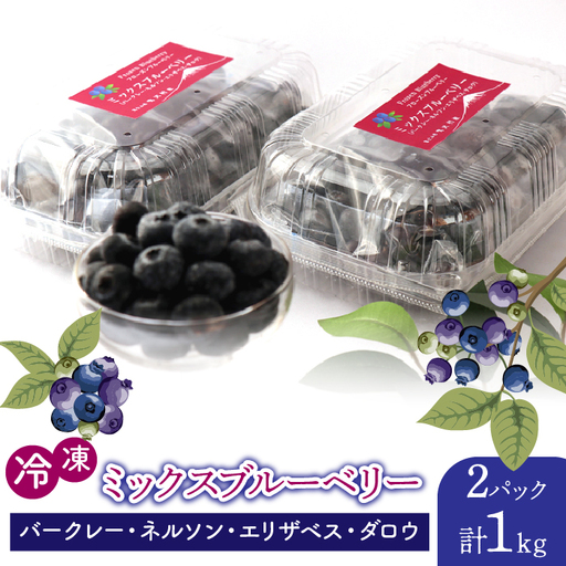 鳴沢村産冷凍ミックスブルーベリー(バークレー・ネルソン・エリザベス・ダロウ）500g×2パック NSAL005