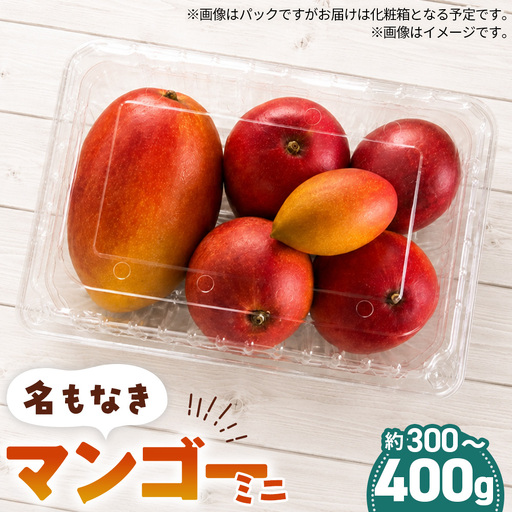 名もなきマンゴー ミニ 詰め合わせ 約300～400g　大きさ不揃い ／ マンゴー 果物 国産 フルーツ 完熟 詰合せ 珍しい 満足 サイズ 小さい バラバラ 大阪府 No.369