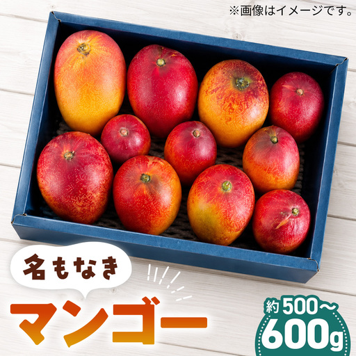 名もなきマンゴー 詰め合わせ 約500〜600g 大きさ不揃い / マンゴー 果物 国産 フルーツ 完熟 詰合せ 珍しい 満足 サイズ バラバラ 大阪府 No.371