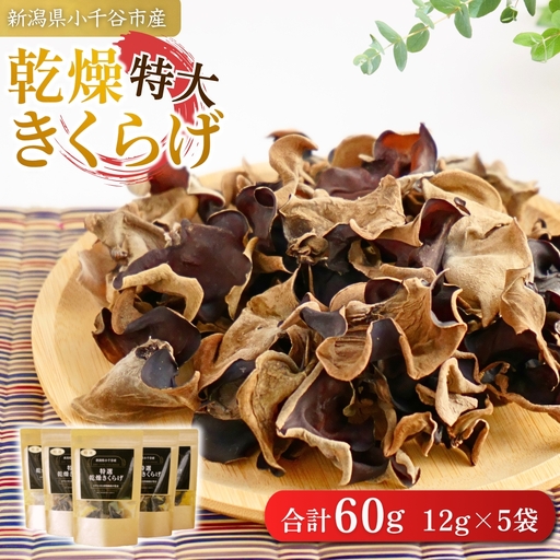 乾燥 きくらげ 特大サイズ