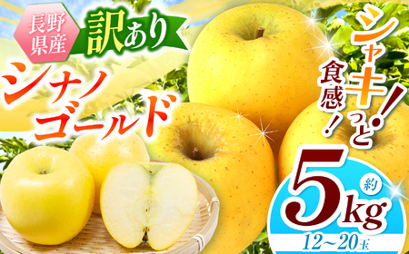 訳あり シナノゴールド 約5kg 【2026年先行予約】 ｜ 浅野農園