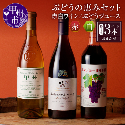 ワイン ぶどうの恵みセット 赤白ワイン(各1本)とぶどうジュース1本セット(KBO)C-653
