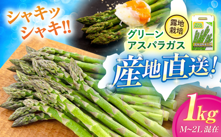 グリーンアスパラガス 1kg(M・L・2L込) アスパラ AJAM010 [先行予約]
