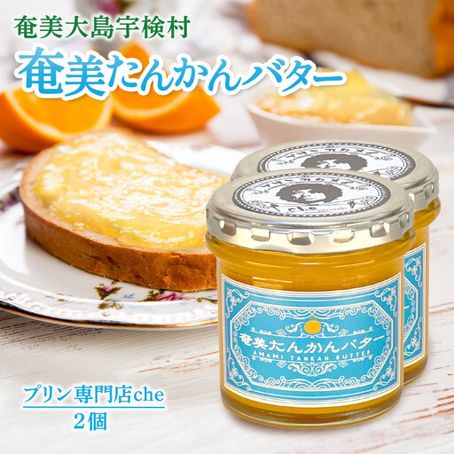 奄美 たんかんバター（2個 240g）たんかん 奄美大島 宇検村 鹿児島 国産バター使用（プリン専門店che)