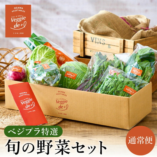 旬のお野菜を新鮮な状態でお届け！ベジプラ特選 旬の野菜セット / 野菜 詰め合わせ セット 野菜セット 新鮮 ギフト やさい 産地直送 苦みが少ない 甘みが強い【野菜例：キャベツ 水菜 ミニトマト レタス とろり葱 ほうれん草 など 】 【Veggie de ＋】