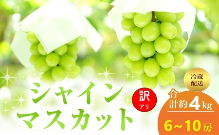 訳あり ぶどう シャインマスカット 6～10房 合計約4kg 岡山県 高梁市産 2026年 先行予約 クール便 冷蔵 フルーツ 葡萄 ブドウ 産地直送 大粒 爽やか 食べやすい
