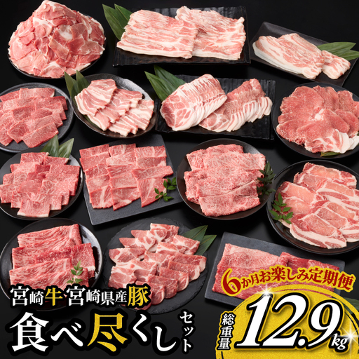 6か月 お楽しみ 定期便 宮崎牛 宮崎県産豚 食べ尽くし セット 総重量12.9kg 数量限定 6回 肉 牛肉 豚肉 国産 食品 黒毛和牛 小分け ロース 豚バラ 小間切れ スライス 焼肉 しゃぶしゃぶ すき焼き おかず 冷凍 おすすめ ギフト 宮崎県 日南市 送料無料_P1-24