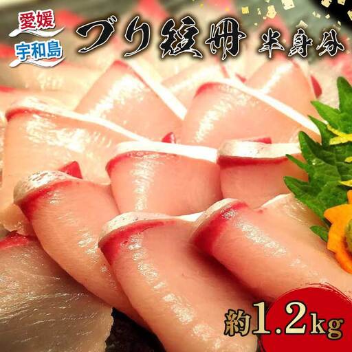 鰤 冊 半身分 約 1.2kg 短冊 有限会社 アクアプラス 鰤