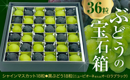 【2026年先行予約】ぶどうの宝石箱 1箱 36粒 たけまさぶどう園 《2026年8月上旬-10月中旬頃出荷》岡山県 浅口市 シャインマスカット ニューピオーネ オーロラブラック フルーツ 果物 くだもの ぶどう マスカット 国産 岡山県産 【配送不可地域あり】（離島）