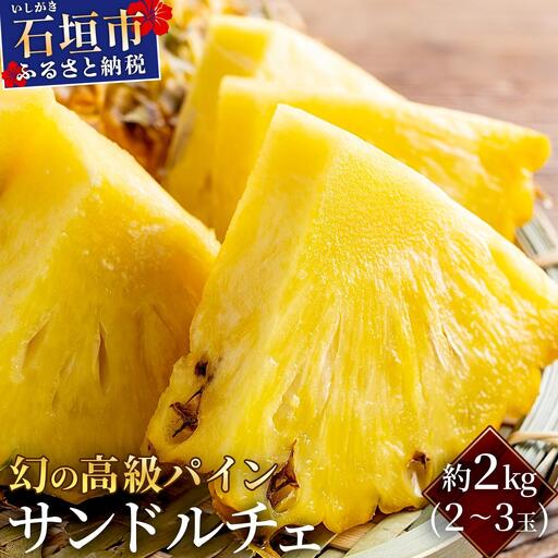 石垣島産 高級パイン サンドルチェ 約2kg (2〜3玉) JAおきなわ