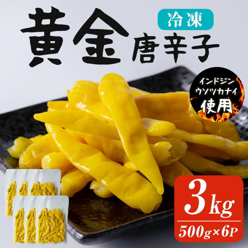 黄金唐辛子 3kg(500g×6p) 生 殺菌 急速冷凍 業務用 宮城県 登米市産 トウガラシとうがらし 冷凍 うまい登米っこ欒や！ 【有限会社ケンズダイニング】tm101