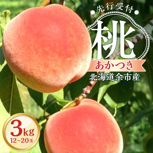 【2026年産 先行予約】＜北海道余市産＞桃「あかつき」3kg（12～20玉）_Y103-0059