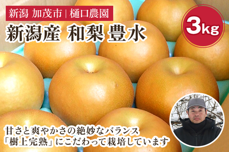 [2026年先行予約]和梨 豊水 3kg(6〜9玉)[9月上旬から順次発送] ほうすい 梨