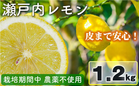 レモン 瀬戸内レモン 1.2kg 数量限定 【MCF015】