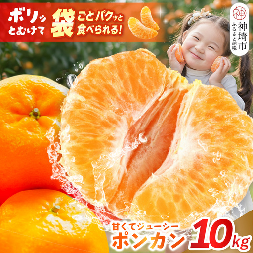 [2027年1月中旬より発送開始]ポンカン 10kg(H116147)