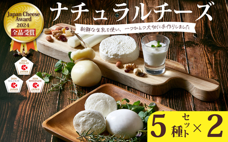 ナチュラルチーズ5種×2セット (モッツァレラ・カチョカヴァッロ・ストリング・ハード ) |チーズ
