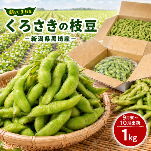 【9月末～発送開始】枝豆 1kg 朝採り新潟県黒埼産 枝豆