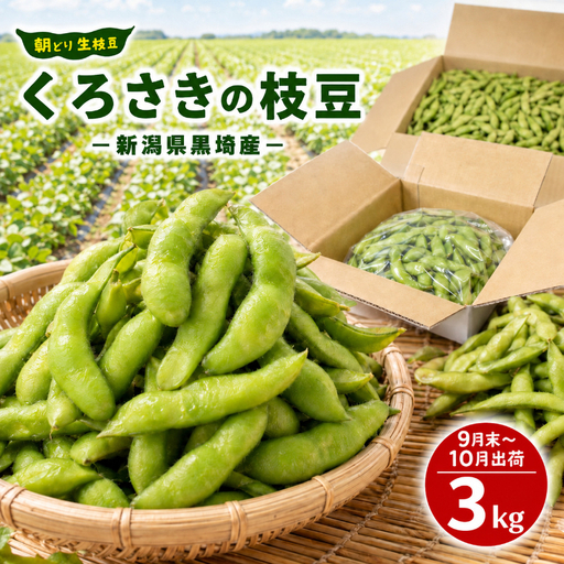 【9月末～発送開始】枝豆 3kg 朝採り新潟県黒埼産 枝豆