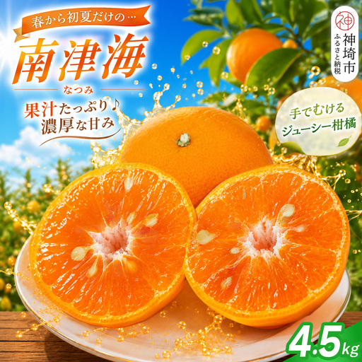 【2027年4月上旬より発送開始】南津海(なつみ)みかん 4.5kg(H116156)