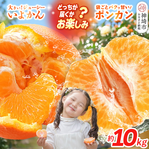[2027年1月中旬より発送開始]伊予柑orポンカン 約10kg(H116157)