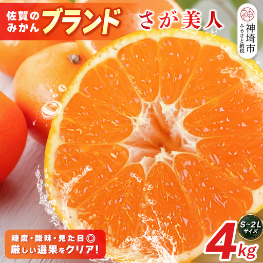 [2026年10月上旬より発送開始]佐賀美人(みかん) 4kg S〜2Lサイズ(H116142)