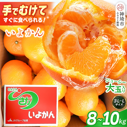 [2027年1月中旬より発送開始]いよかん 8〜10kg(3L〜Lサイズ)(H116141)