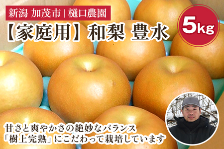 【2026年先行予約】【家庭用】和梨 豊水 5kg（9〜14玉）《9月上旬〜順次出荷》 ほうすい 梨