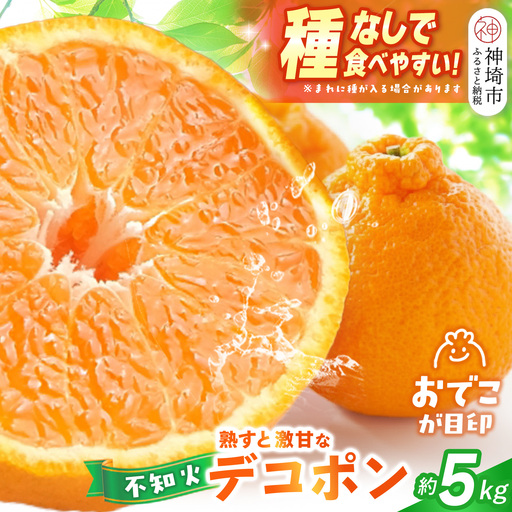 [2027年1月中旬より発送開始]不知火(デコポン) 約5kg(H116137)