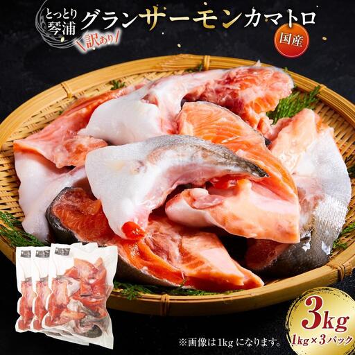 【数量限定】訳あり 国産 とっとり 琴浦 グラン サーモン カマトロ 3kg（1kg×3パック）サーモン