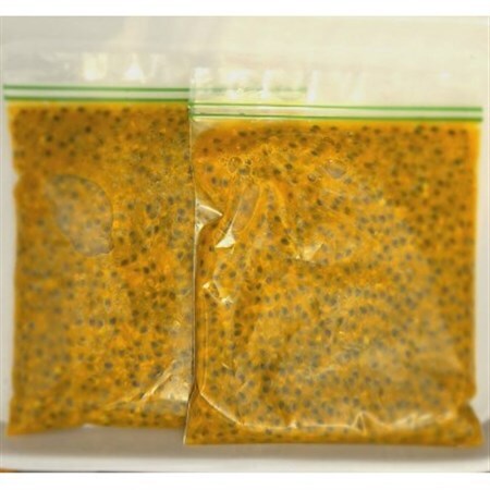 愛知県産 栽培期間中農薬不使用の冷凍パッションフルーツ500g×2袋[配送不可地域:離島]